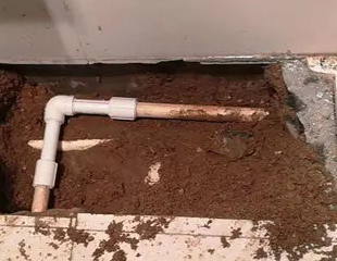 北碚测漏水哪家好