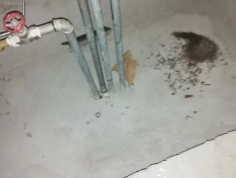 北碚卫生间测漏水价格明细