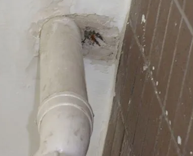 北碚漏水检测哪家好